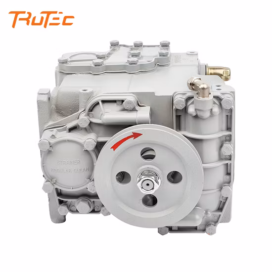 Tankstellenteile Tatsuno-Pumpe Kraftstoffspender Zahnradpumpenteile